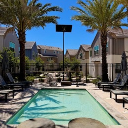a pool with palm trees